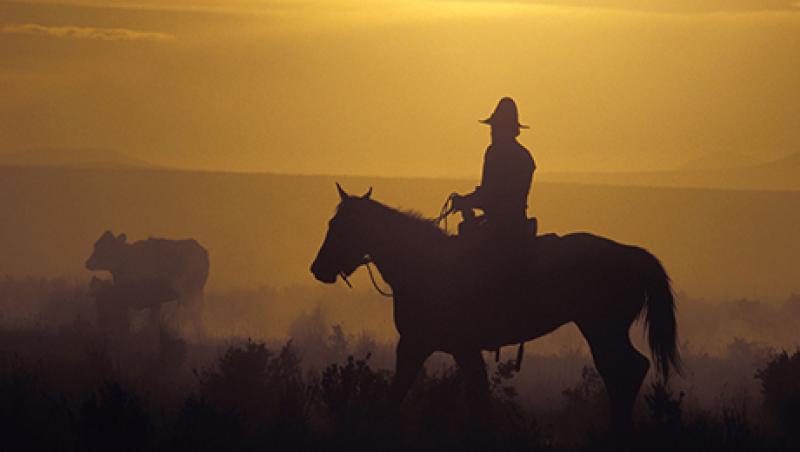 2015-10-yu-ming-wang-china-us-cowboy-large.jpg