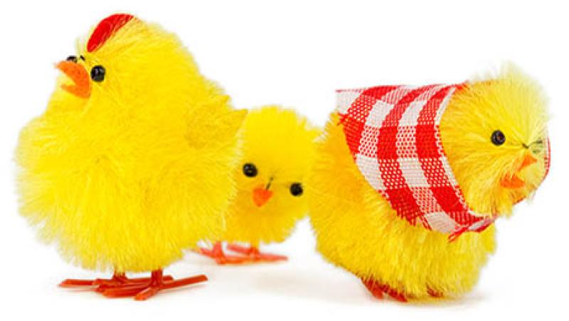 2015-12-beth-braverman-family-wealth-disputes-angry-chick-large.jpg
