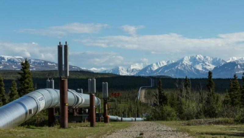 2016-02-bailey-mccann-alaska-permanent-fund-large.jpg