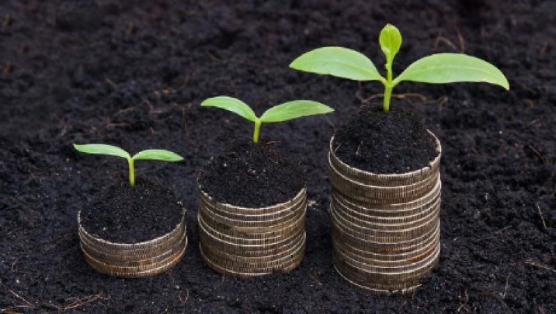 2016-02-uw-bob-eccles-sustainable-accounting-sprout-large.jpg