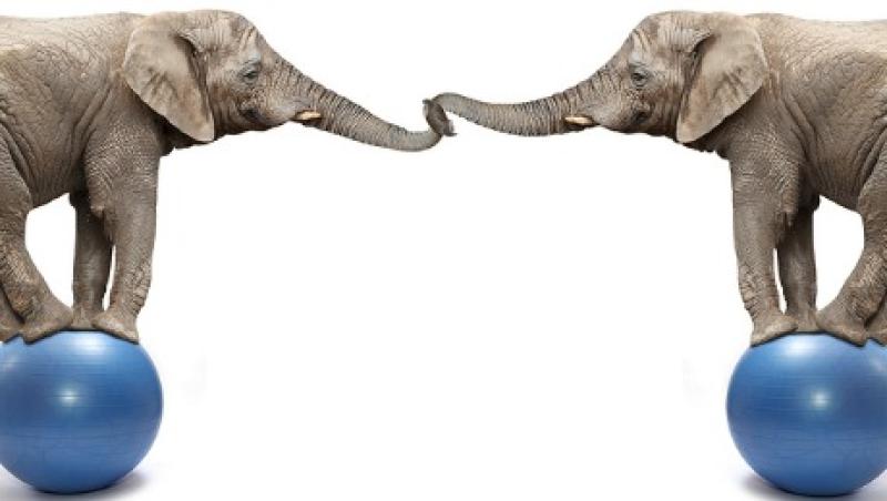 2016-03-gmtl-investec-africa-elephants-growth-debt-balance-large.jpg