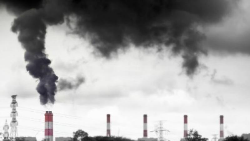 2016-03-katie-gilbert-coal-divestment-oil-and-gas-lg.jpg