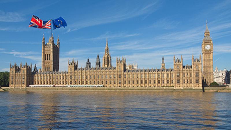 2016-06-tom-buerkle-brexit-london-lg.jpg