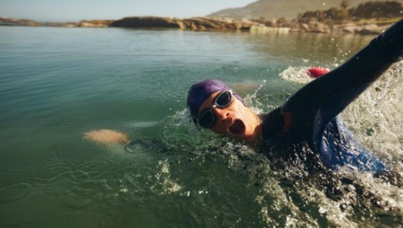 2016-07-gmtl-kkr-open-water-swimming-large.jpg