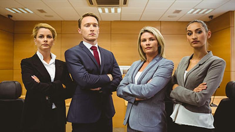2016-frances-denmark-litigation-retirement-large.jpg