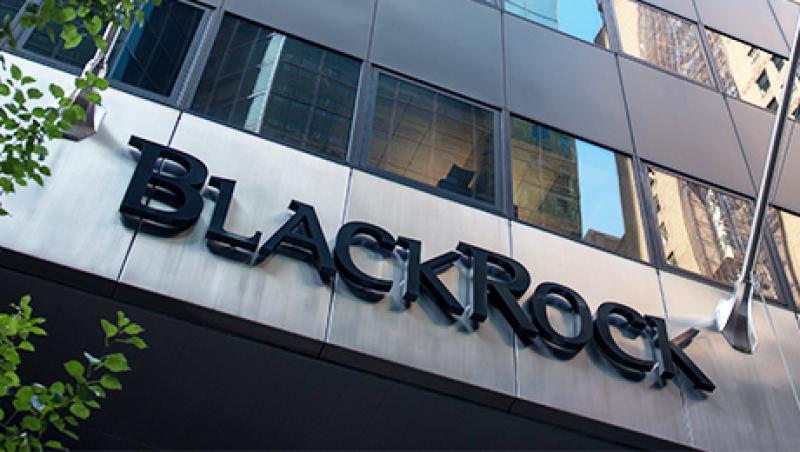 2017-09-julie-segal-res-ii-300-blackrock-large.jpg