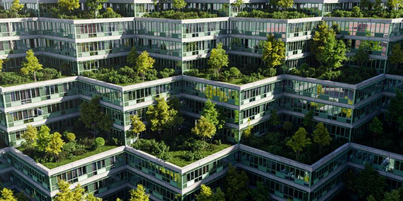 Roof garden