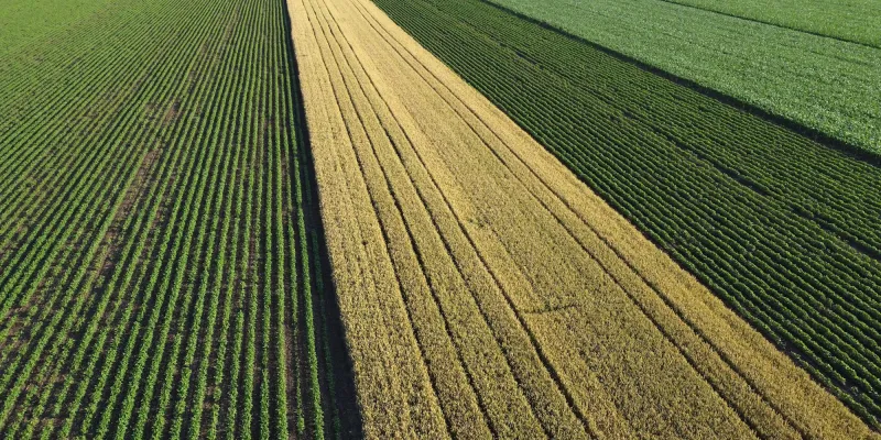 Drone photography-agricultural fields in summer, Vojvodina