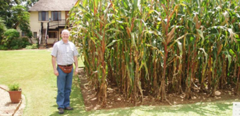 330x160-africafarmland.jpg