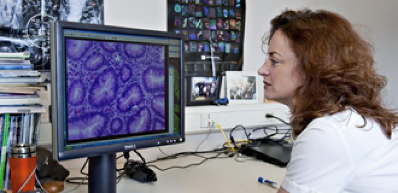 330x160-biomedicine.jpg