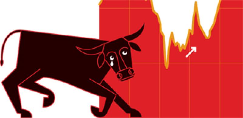 330x160-crying-bull.jpg