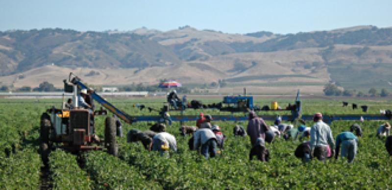 330x160-farmland.jpg