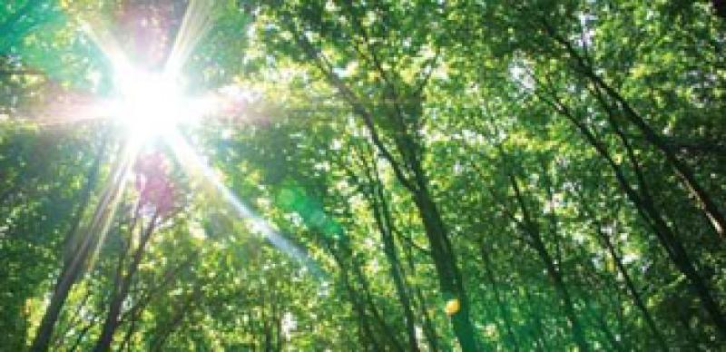 330x160-green-investing.jpg