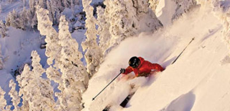 330x160-pp-whistler.jpg