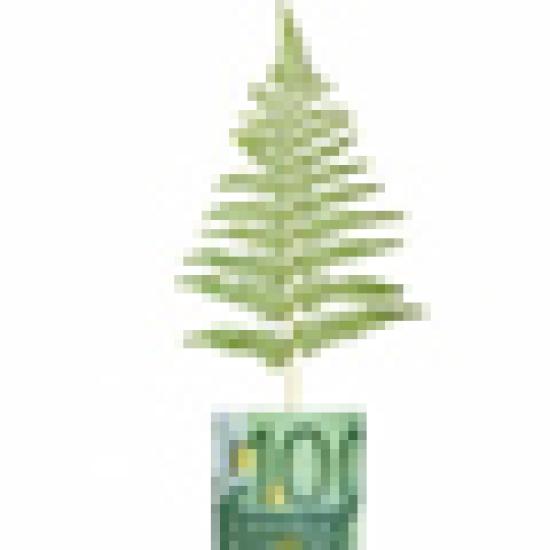 60x60-enviro-alpha.jpg