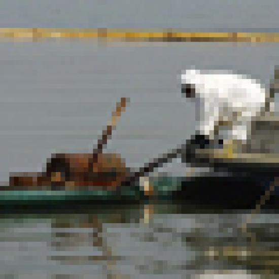 60x60-oil-spill-2010.jpg