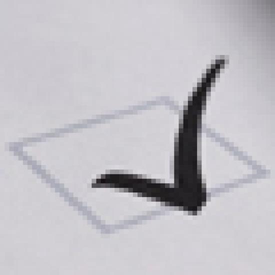 60x60-voting-tick.jpg