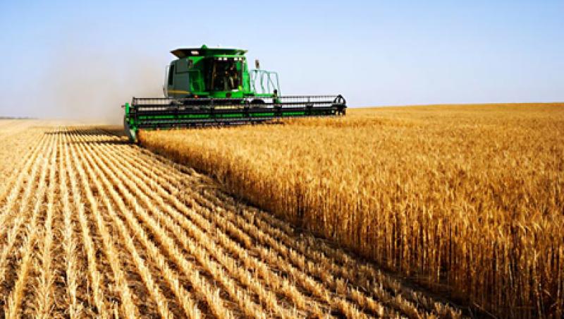 agriculture-large.jpg