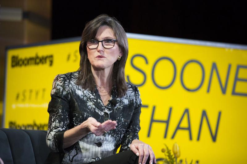 Cathie Wood, CEO of ARK Investment Management. (Alex Flynn/Bloomberg)
