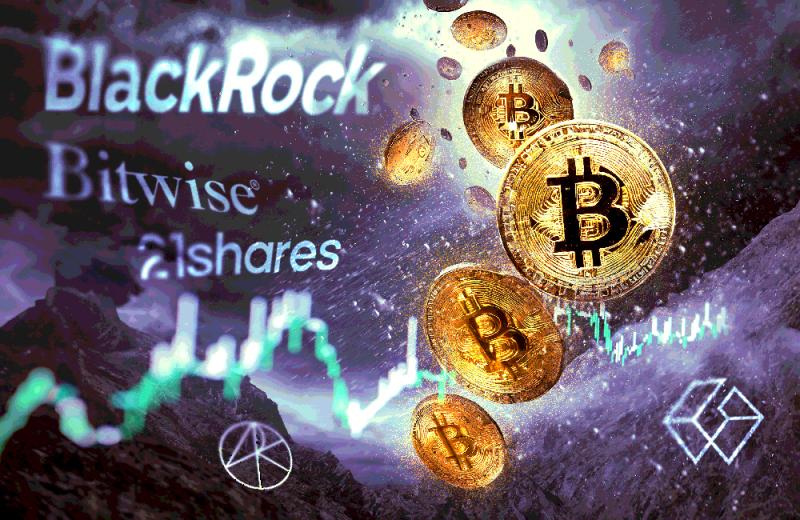 art-blackrockbitcoin3-0109.jpg