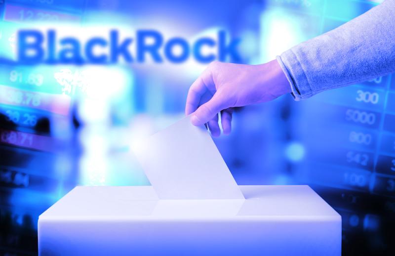 art-blackrockvoting-0213.jpg