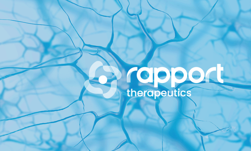 art-taub-rapport-052824.png