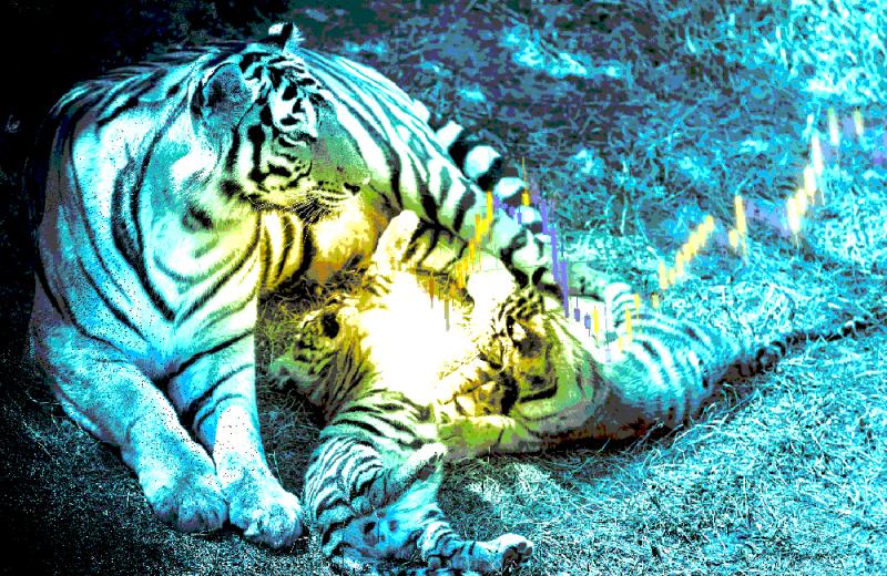 art-tigercubslong-game-0115.jpg