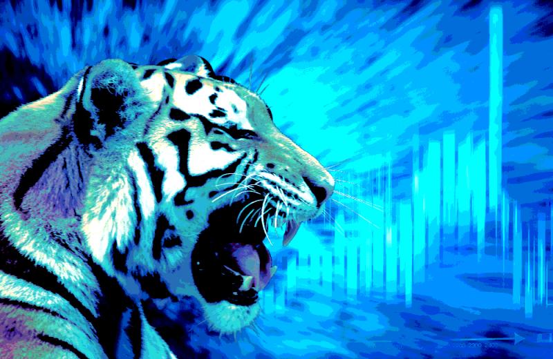 art-tigerrising-1213.jpg