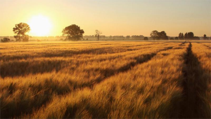 banner-farmland-large.jpg