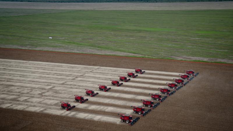 brazil-farm-big.jpg