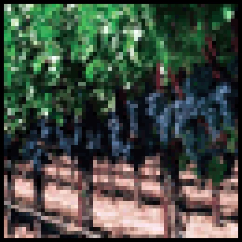 bt-wine.gif