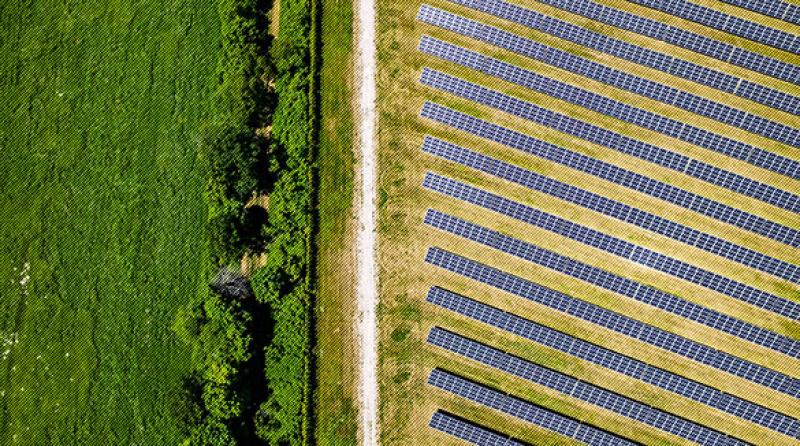 Price Signals are Needed in the Carbon Market
