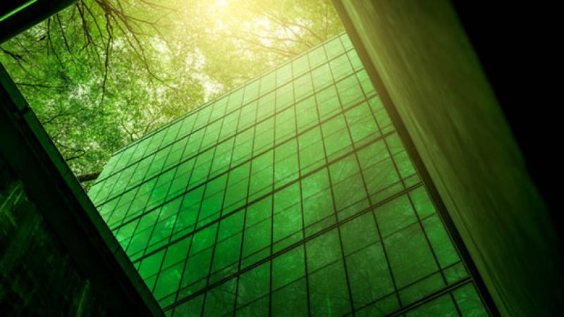 Green Trends
