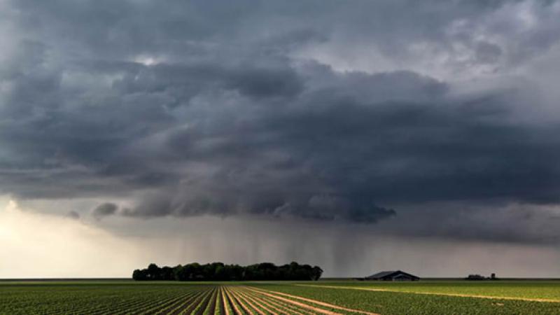 Watching Weather and War