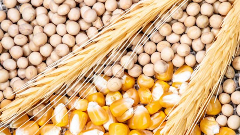 Farmers’ Risk Management Needs Increasing