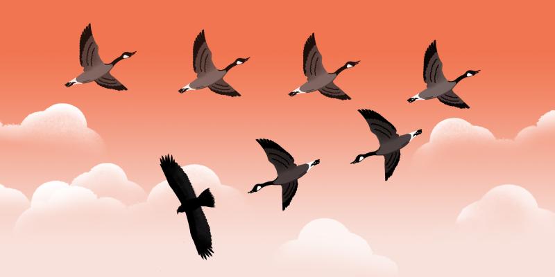 Illustration by Yarek Waszul. Illustration by Yarek Waszul.