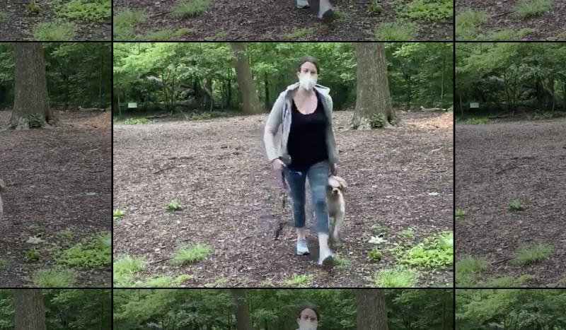 A screenshot from the cell phone video of Amy Cooper. (via Twitter) A screenshot from the cell phone video of Amy Cooper. (via Twitter)