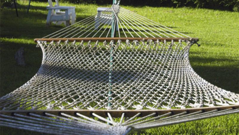 hammock-big.jpg