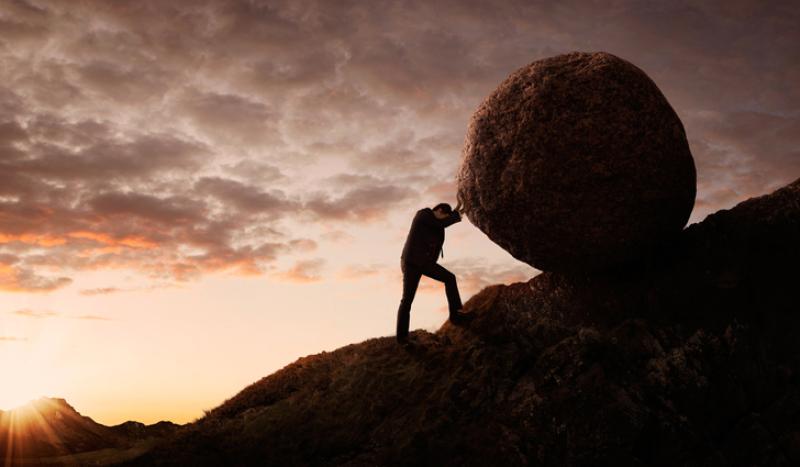 CIO Insights