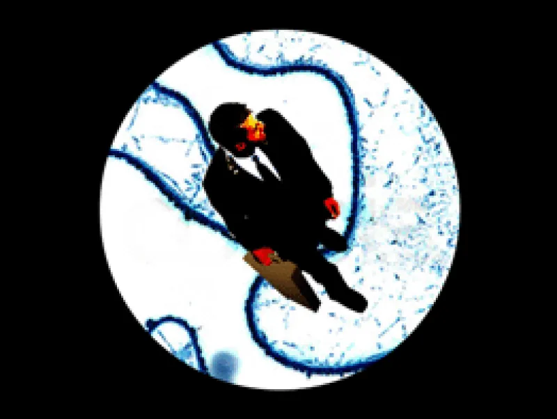 microscope-001.gif