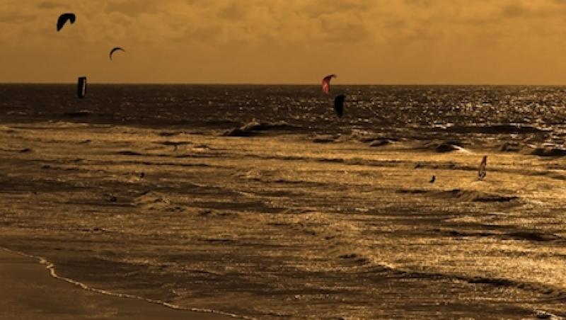 ocean-beach-large.jpg