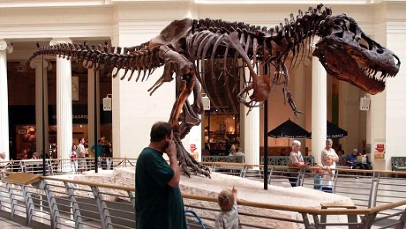 trexbig.jpg
