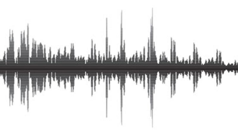 voice-wave-big.jpg
