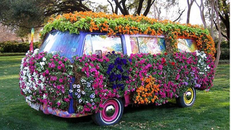 vw-ashby-large.jpg