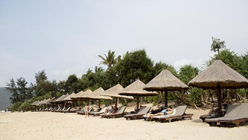 weekend-beach-reading-large.jpg