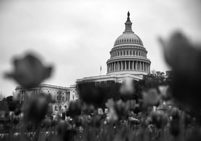 Credit: Alex Edelman/Bloomberg